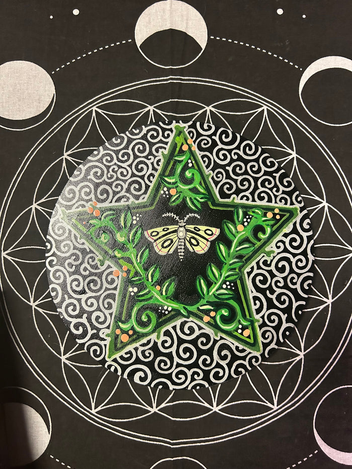 Midsummer Moth Canvas Painting