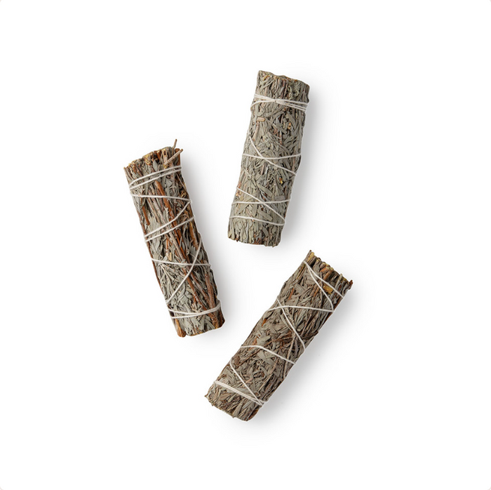 Organic Blue Sage