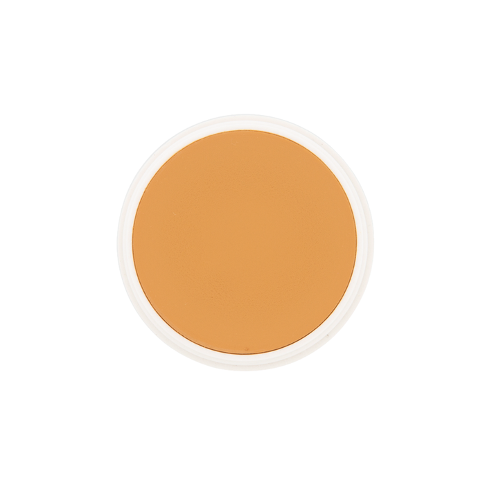 RCMA Color Process Foundation (Shinto Series)