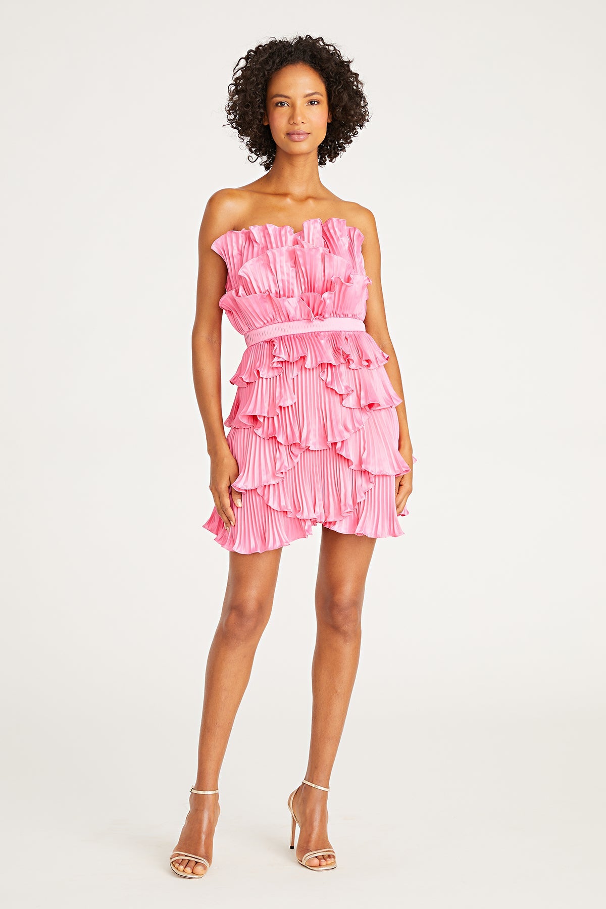 Reed Pleated Shell Mini Dress