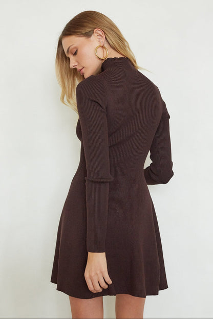Millie Knit Turtleneck Mini Dress