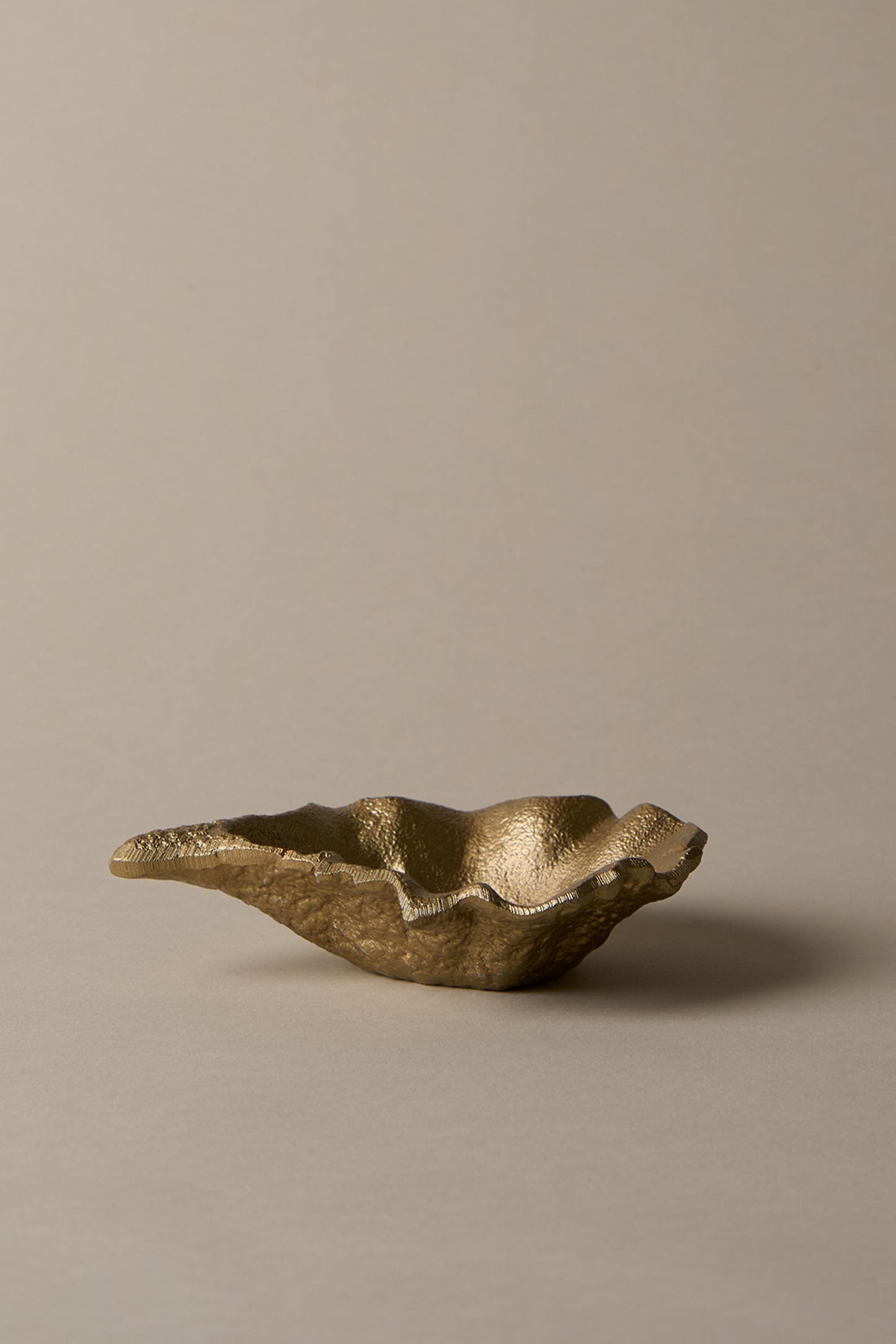 OYSTER SHELL DISH