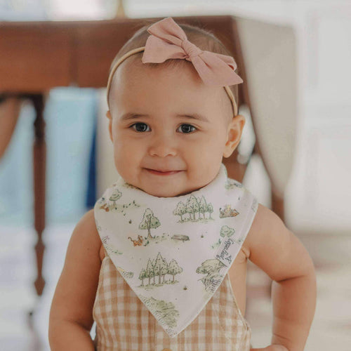 Baby Bandana Bibs - Hundred Acre Wood