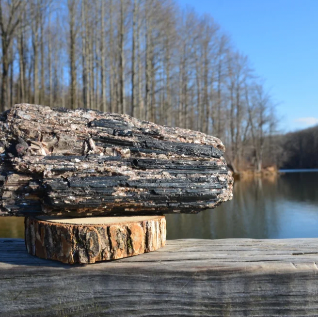 Black Tourmaline Log with Mica from Brazil