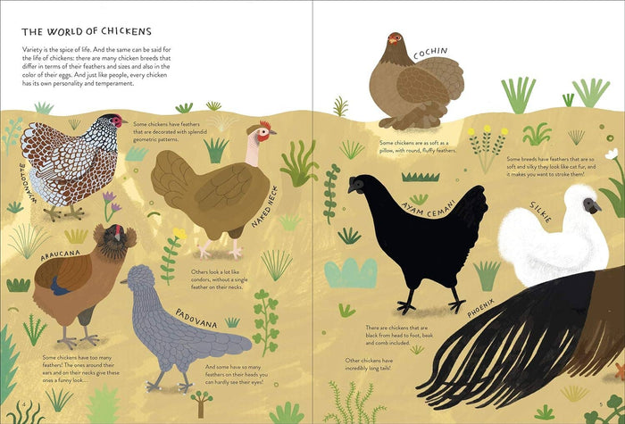 Chickenology