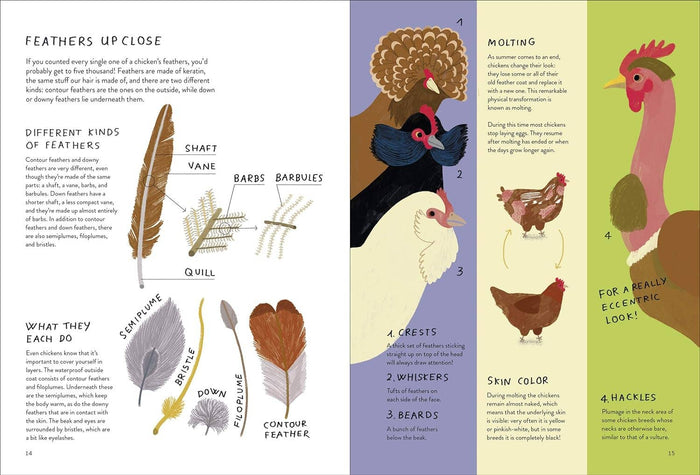 Chickenology