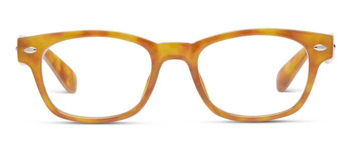 Clark Focus (Blue Light)
