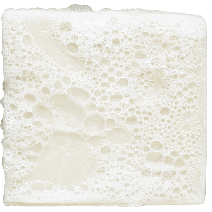 Dr. Squatch Total Moisture Shea Butter