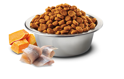 Farmina N&D Ocean Canine Cod, Pumpkin & Orange Adult Medium & Maxi Dry Dog Food