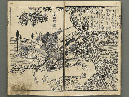 Kawanakajima ryo shogun ki (Chu) by Utagawa Yoshimori / BJ349-188