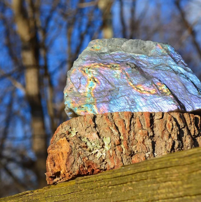 Rainbow Flash Natural Labradorite Freeform from Madagascar