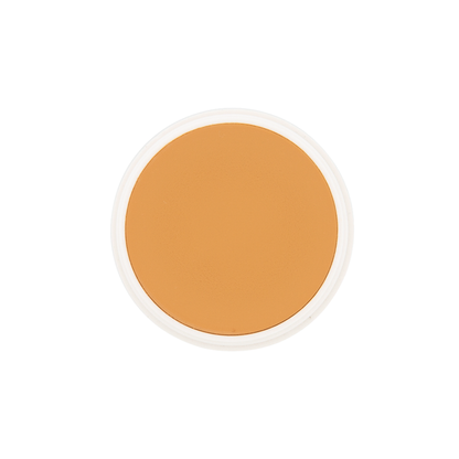 RCMA Color Process Foundation (Shinto Series)